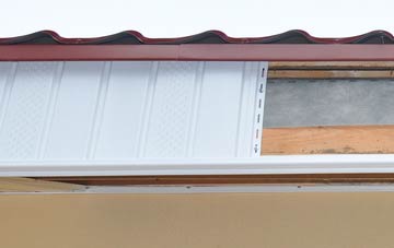 Braco fascia repair costs
