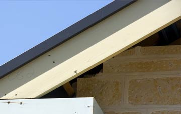 Braco fascia repairs