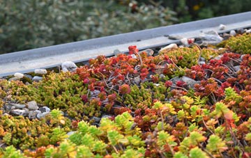 the cost of Braco green roof installation