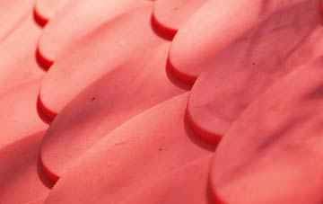 Braco plastic roof costs