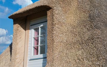 Braco thatch roof disadvantages